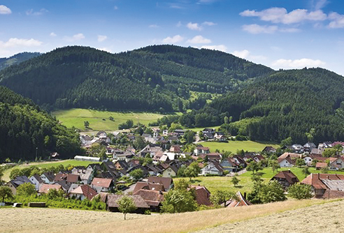 Gaeste Schwarzwald